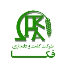 شرکت کشت و دامداری فکا