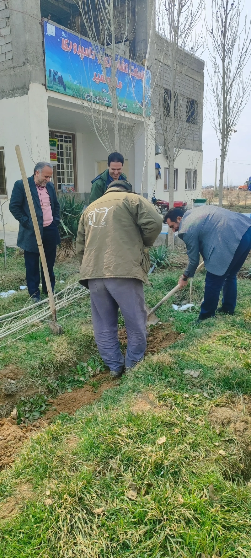 درختکاری در شرکت ملاردشیر با حضور مدیرعامل، معاونین و مدیران این شرکت