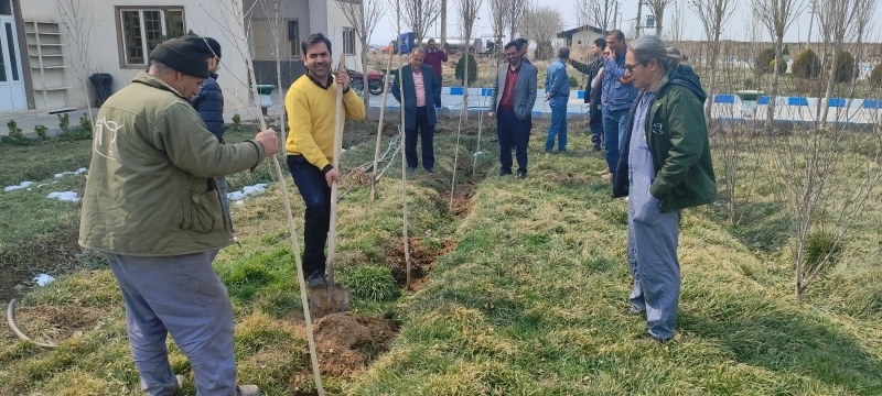 درختکاری در شرکت ملاردشیر با حضور مدیرعامل، معاونین و مدیران این شرکت