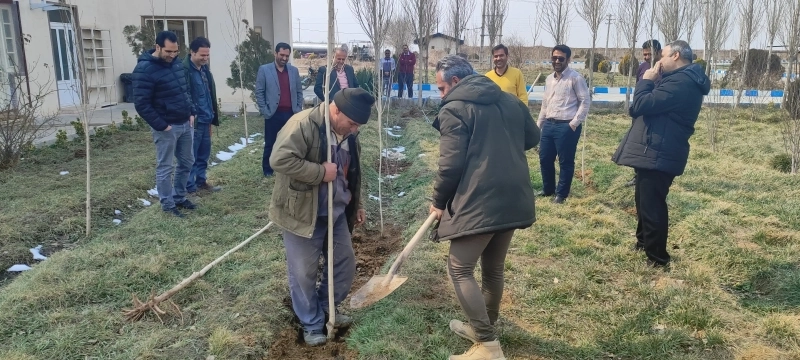 درختکاری در شرکت ملاردشیر با حضور مدیرعامل، معاونین و مدیران این شرکت