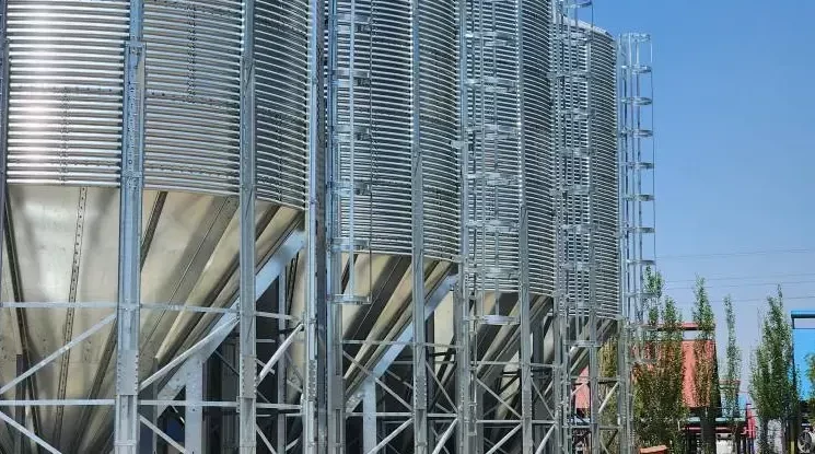 پایان نصب نردبان های نفر رو‌ بر روی سیلوهای پروژه کارخانه خوراک