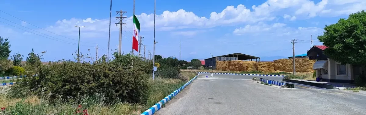 بزرگداشت شهادت آیت‌ الله رئیسی با نیمه برافراشته شدن پرچم ایران در شرکت ملارد شیر