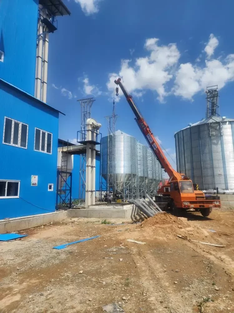 عملیات نصب چین کانوایر سیلوهای پروژه کارخانه خوراک ملارد شیر آغاز شد