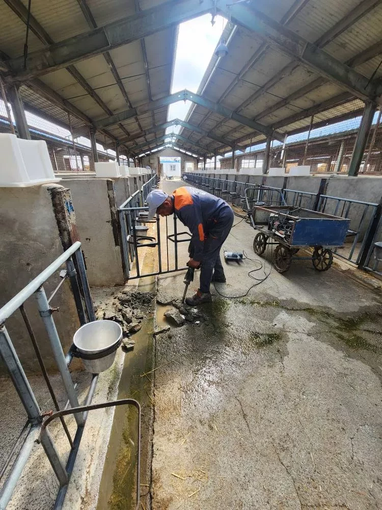 عملیات بهسازی لوله آب سالن گوساله‌ دانی شرکت ملارد شیر آغاز شد