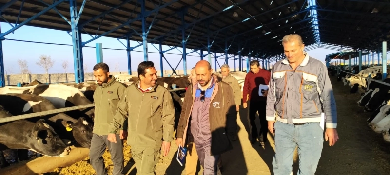 بازدید دکتر مشیدی، عضو هیئت‌ مدیره هلدینگ تادیکو، از شرکت ملاردشیر و بررسی روند توسعه پروژه‌ های در دست اقدام 