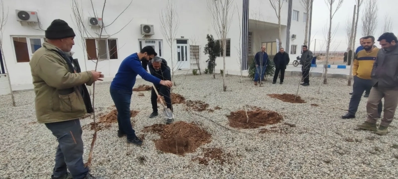 آئین درختکاری 15 اسفند در شرکت ملاردشیر برگزار شد