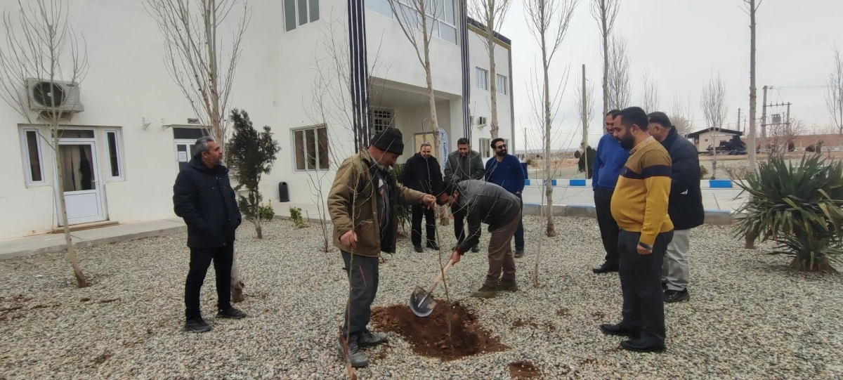 آئین درختکاری 15 اسفند در شرکت ملاردشیر برگزار شد