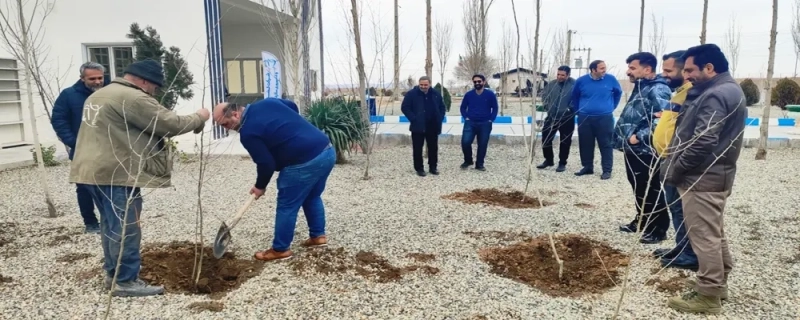 آئین درختکاری 15 اسفند در شرکت ملاردشیر برگزار شد