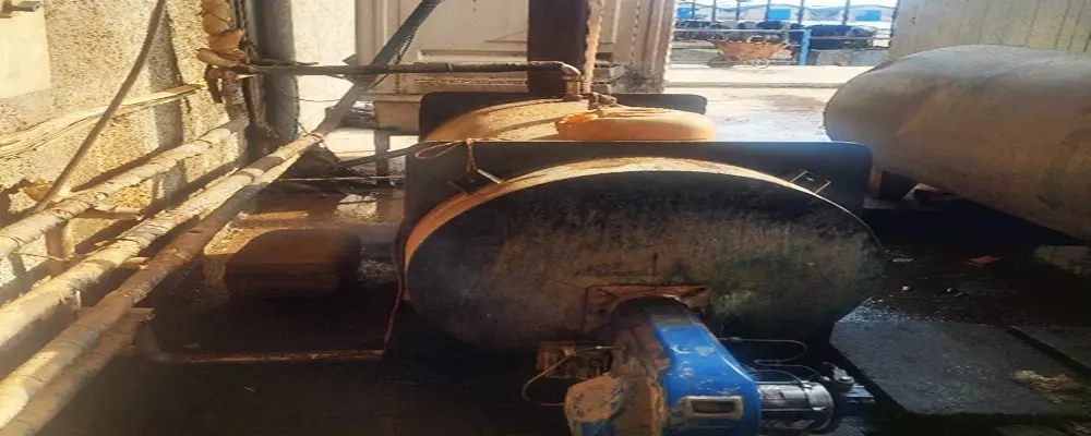 عملیات بهسازی مشعل پاستور گوساله‌ دانی در شرکت ملاردشیر  