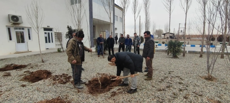 آئین درختکاری 15 اسفند در شرکت ملاردشیر برگزار شد