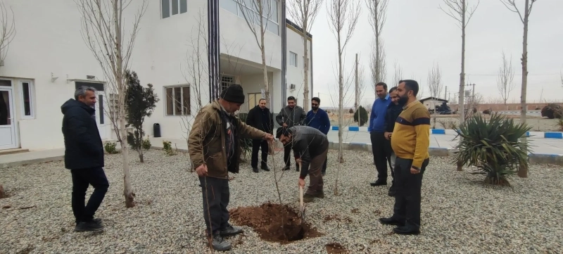 آئین درختکاری 15 اسفند در شرکت ملاردشیر برگزار شد
