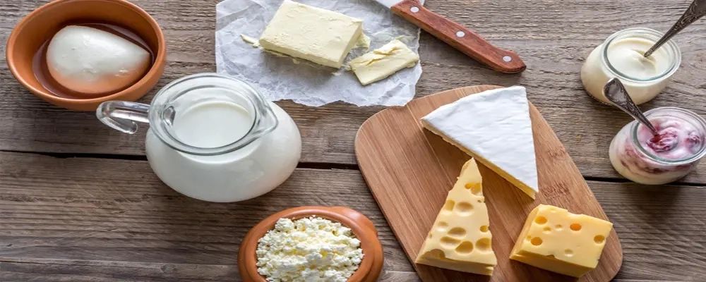 طبع لبنیات از نگاه طب سنتی؛ چگونه لبنیات مناسب مزاج خود را انتخاب کنیم؟