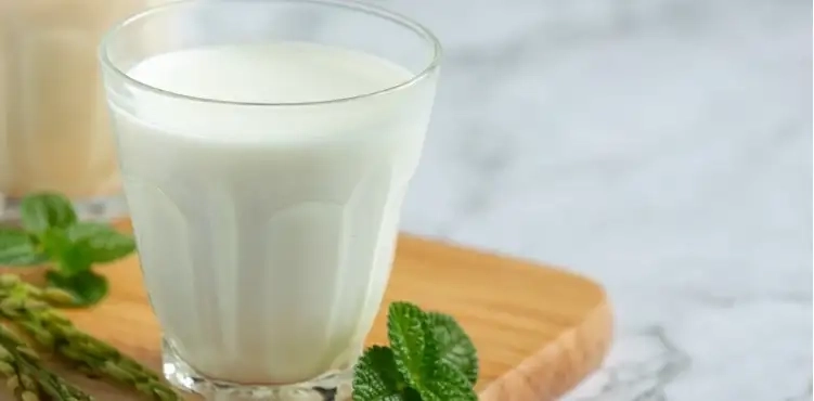 با غذا دوغ بخوریم یا نه؟ نگاهی به مزایا، معایب و توصیه‌ های طب سنتی و مدرن