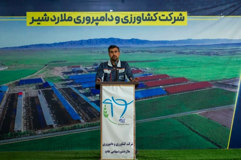 تجلیل از کارگران نمونه شرکت ملاردشیر در مراسم بزرگداشت روز کارگر  