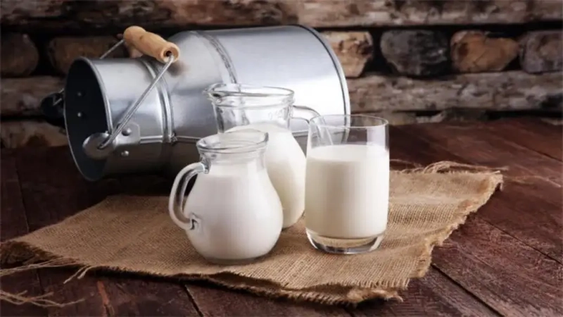 آیا با معده خالی شیر بخوریم یا خیر؟ بررسی علمی و سنتی