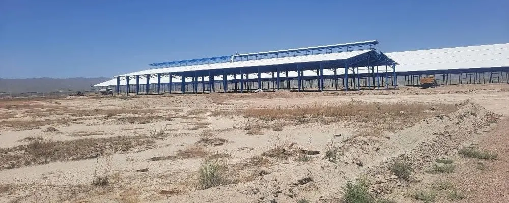 عملیات نصب پوشش مانیتور سالن شیردوشی در پروژه دامپروری 6000 رأسی ملایر