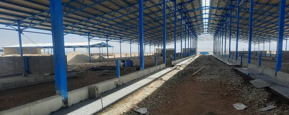 عملیات سنگ‌ کاری سر آخور سالن زایشگاه در پروژه 6000 راسی ملایر