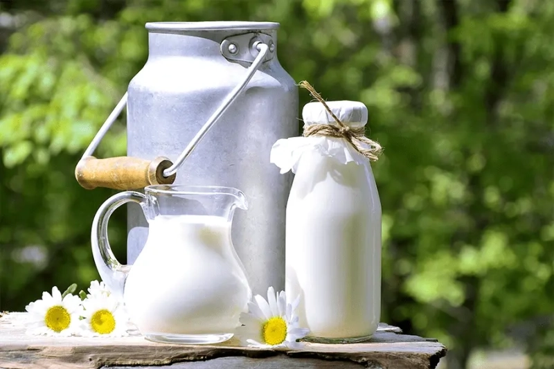 تفاوت شیر دام صنعتی و سنتی از نظر تغذیه و ارزش غذایی
