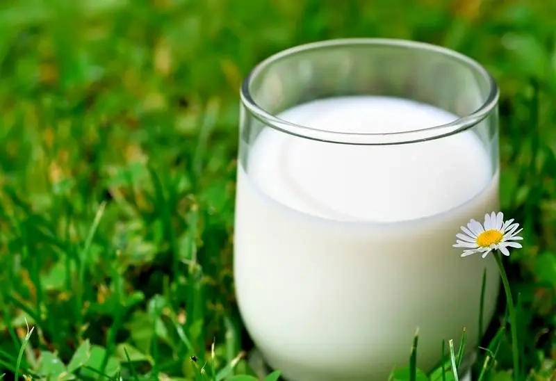 تفاوت شیر دام صنعتی و سنتی از نظر تغذیه و ارزش غذایی