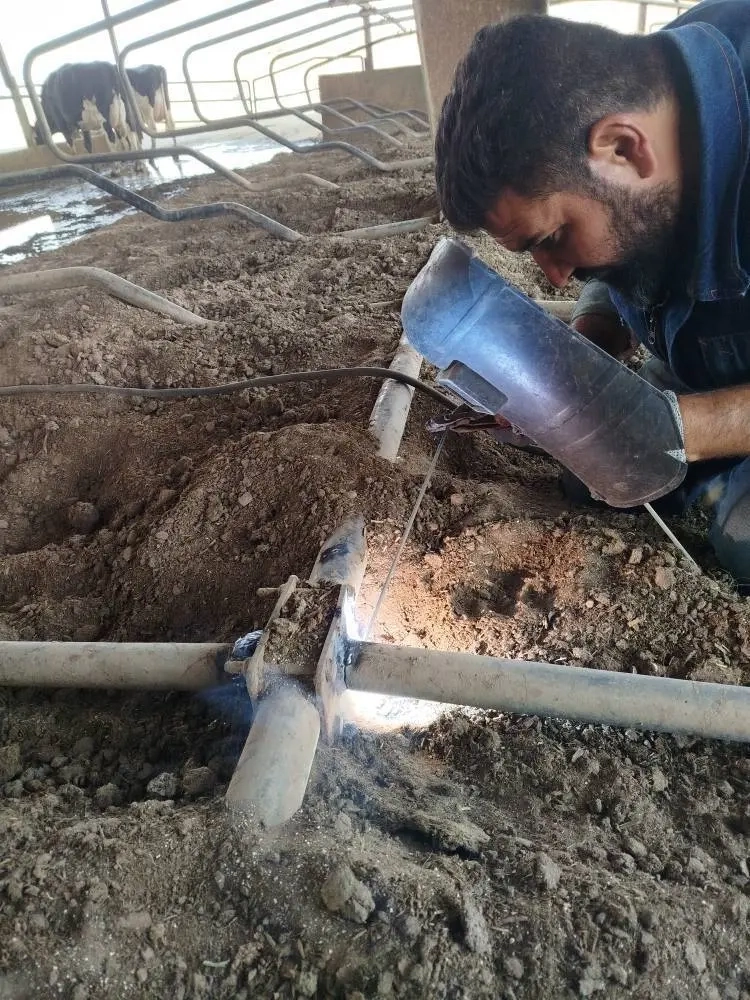عملیات بهبود زیرساخت‌ ها و بازآرایی بهاربندهای شیری در راستای ارتقای شاخص‌ های رفاه دام در شرکت ملاردشیر