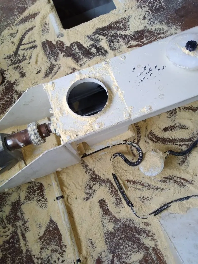 عملیات بازبینی‌ روزانه در کارخانه خوراک تمام‌ اتوماتیک شرکت ملاردشیر به‌ منظور پایدارسازی بهره‌ برداری