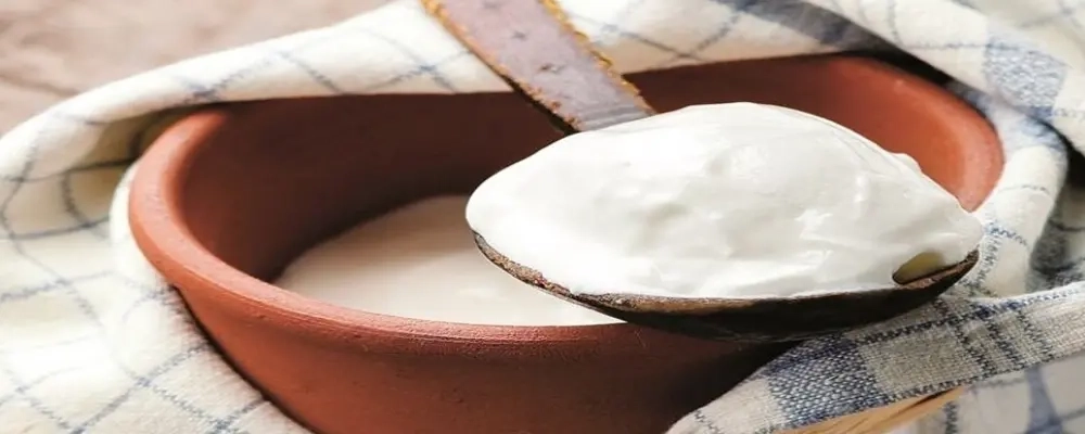 تفاوت ماست ایسلندی و ماست معمولی؛ کدام‌ یک انتخاب سالم‌ تری برای شما است؟