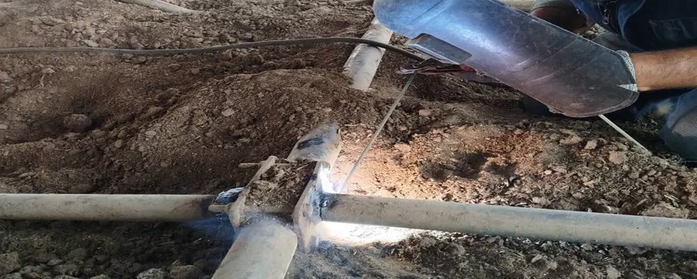 عملیات بهبود زیرساخت‌ ها و بازآرایی بهاربندهای شیری در راستای ارتقای شاخص‌ های رفاه دام در شرکت ملاردشیر