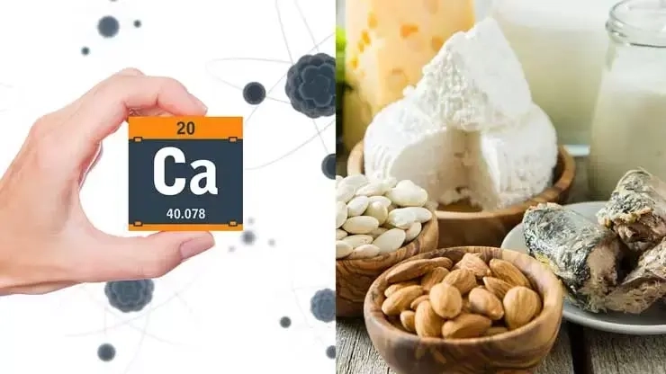لبنیات بهتر است یا مکمل کلسیم؟ واقعیت‌ هایی که باید قبل از انتخاب بدانید!