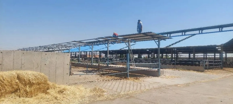 عملیات طراحی و تعبیه سرآخور در زایشگاه شرکت ملاردشیر
