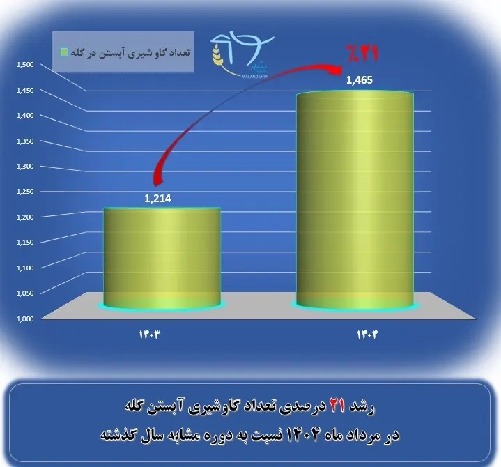 افزایش رشد 21 درصدی تعداد گاوهای شیری آبستن در شرکت کشاورزی و دامپروری ملاردشیر طی مرداد 1404    