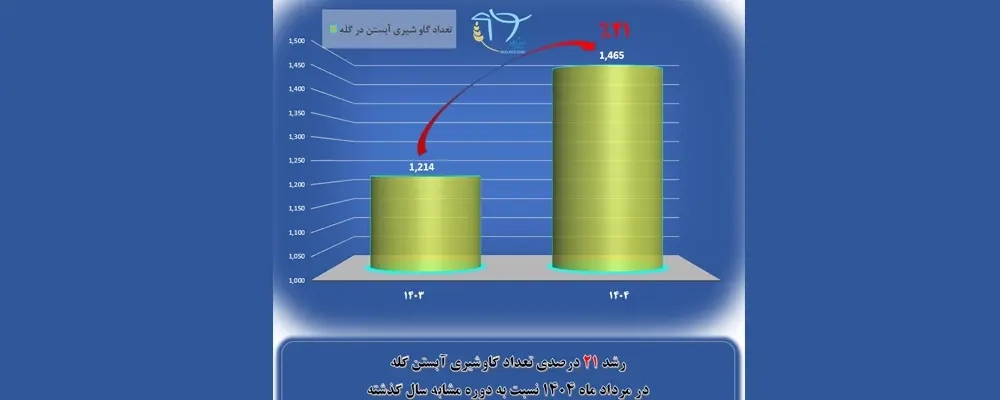افزایش رشد 21 درصدی تعداد گاوهای شیری آبستن در شرکت کشاورزی و دامپروری ملاردشیر طی مرداد 1404    