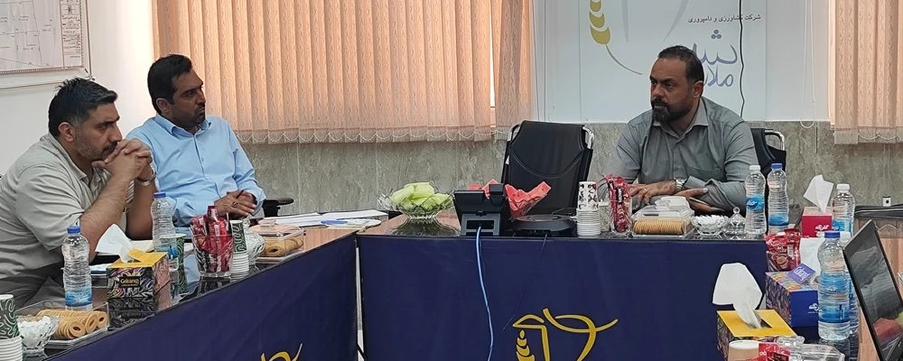 بازدید دکتر مشیدی، عضو موظف هیئت‌ مدیره هلدینگ تادیکو، از شرکت ملاردشیر