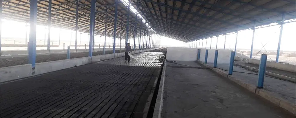 عملیات بتن ریزی کف سالن زایشگاه در پروژه 6000 رأسی ملایر