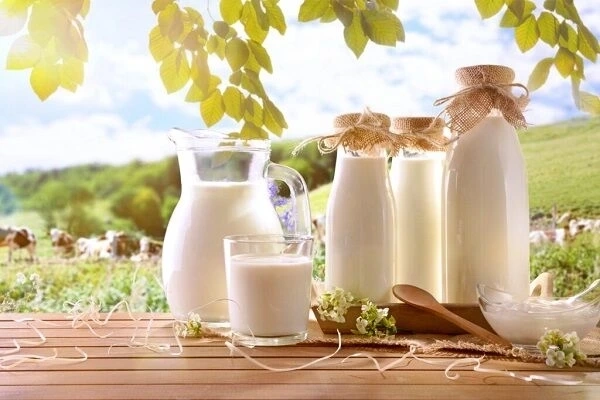 پاستوریزاسیون چیست و چرا اهمیت دارد؟ | فرایند ایمن‌ سازی شیر و لبنیات
