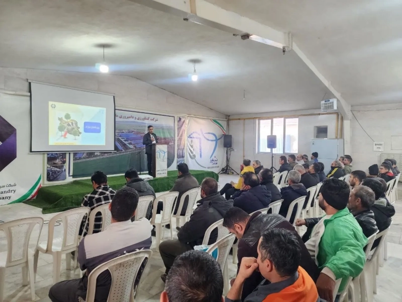 برگزاری مراسم روز دامدار و اهدای جوایز مسابقات فرهنگی‌ ورزشی هفته بسیج در شرکت ملاردشیر