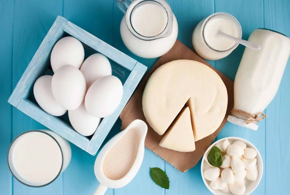 مقایسه میزان کلسیم در انواع لبنیات؛ کدام انتخاب بهتری است؟