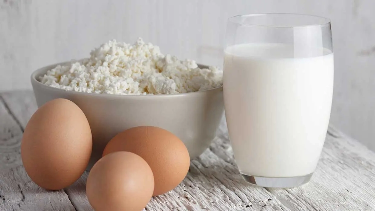 مقایسه کلسیم موجود در انواع لبنیات | کدام لبنیات بیشترین کلسیم را دارد؟