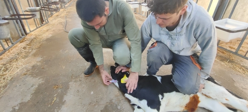 ملارد شیر میزبان طرح پژوهشی دانشگاه تهران: انقلاب علمی در تغذیه دام با فناوری تخمیر گلوتن  ذرت