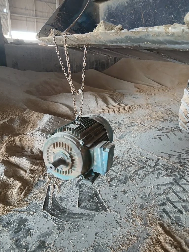 عملیات بهسازی و احیای عملکرد الکتروموتور آسیاب جو در کارخانه خوراک‌ سازی شرکت ملاردشیر