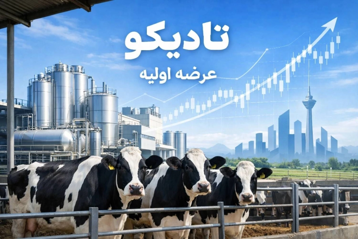 تادیکو؛ جایی که امنیت غذایی به فرصت سرمایه‌گذاری تبدیل می‌شود