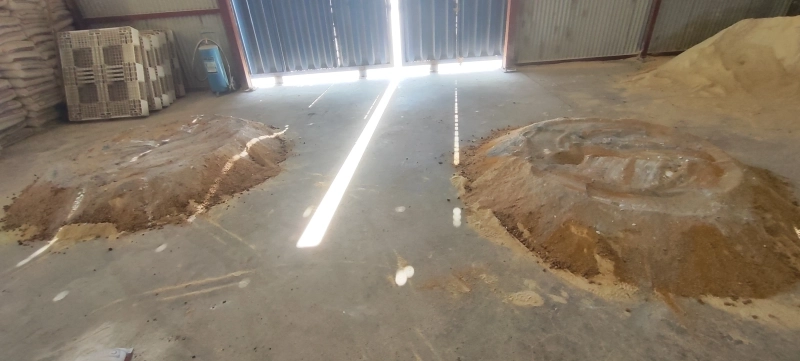 ملارد شیر میزبان طرح پژوهشی دانشگاه تهران: انقلاب علمی در تغذیه دام با فناوری تخمیر گلوتن  ذرت