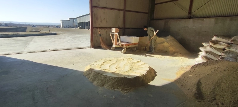 ملارد شیر میزبان طرح پژوهشی دانشگاه تهران: انقلاب علمی در تغذیه دام با فناوری تخمیر گلوتن  ذرت