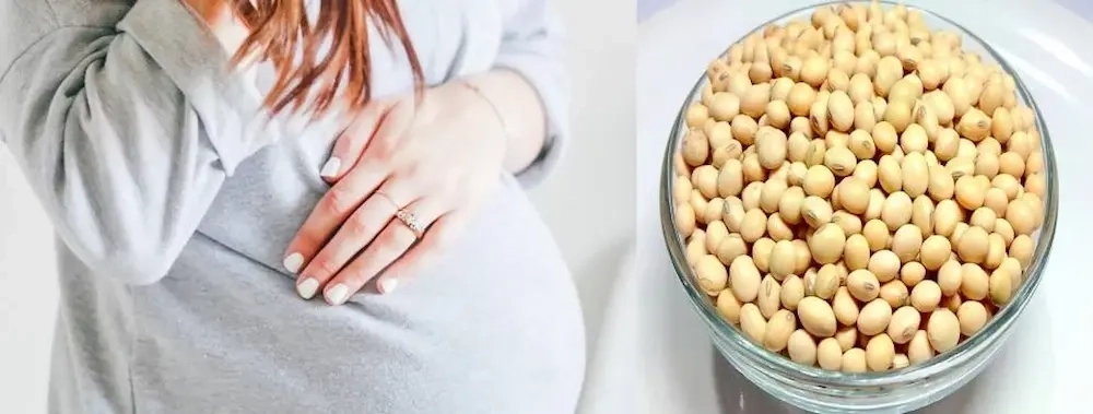 فواید شیر سویا برای بانوان باردار | انتخابی هوشمند برای تغذیه سالم مادر و جنین