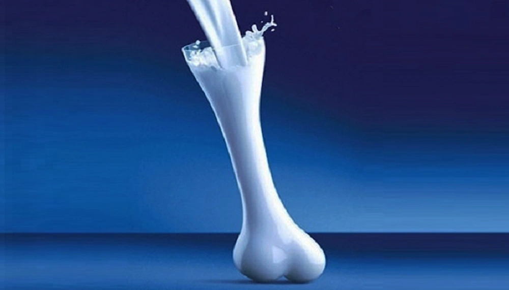 شیر کامل چیست و چه تفاوتی با سایر فرآورده‌ های لبنی دارد؟