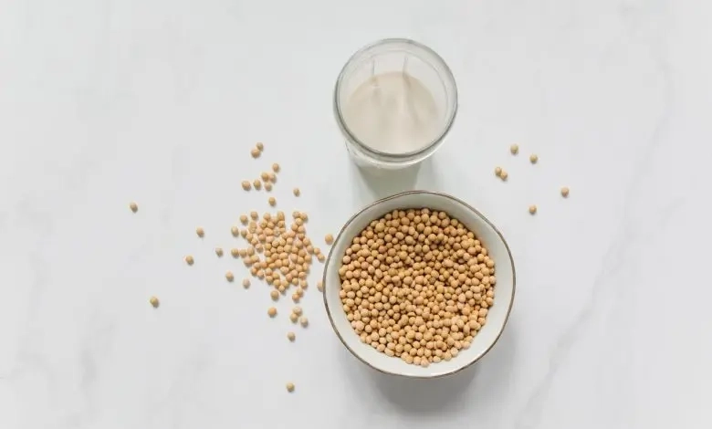 فواید شیر سویا برای بانوان باردار | انتخابی هوشمند برای تغذیه سالم مادر و جنین