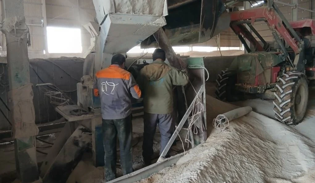 عملیات بهسازی و احیای عملکرد الکتروموتور آسیاب جو در کارخانه خوراک‌ سازی شرکت ملاردشیر