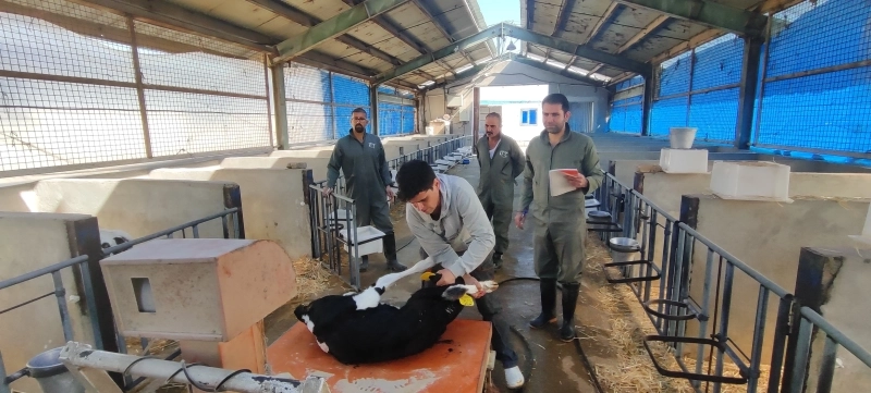 ملارد شیر میزبان طرح پژوهشی دانشگاه تهران: انقلاب علمی در تغذیه دام با فناوری تخمیر گلوتن  ذرت