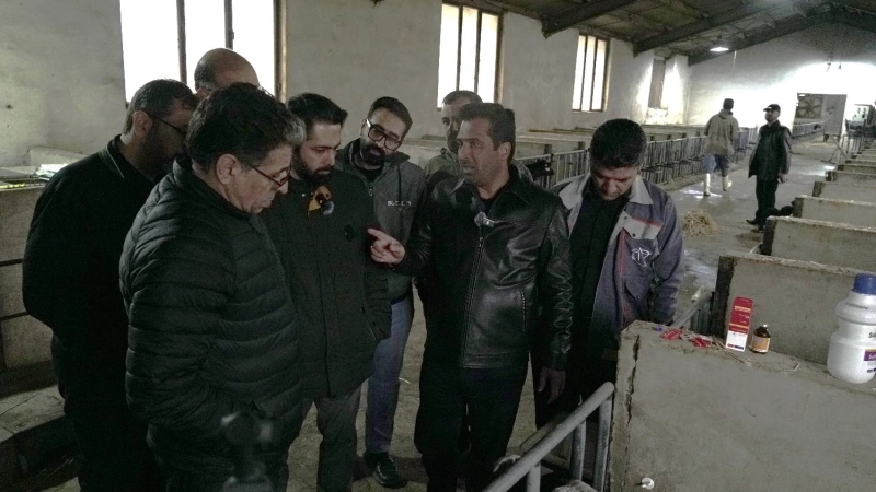 بازدید دکتر سعیدی(مدیرعامل شرکت سرمایه گذاری تامین اجتماعی) و دکتر محمدی(مدیرعامل هلدینگ تادیکو) از شرکت ملاردشیر