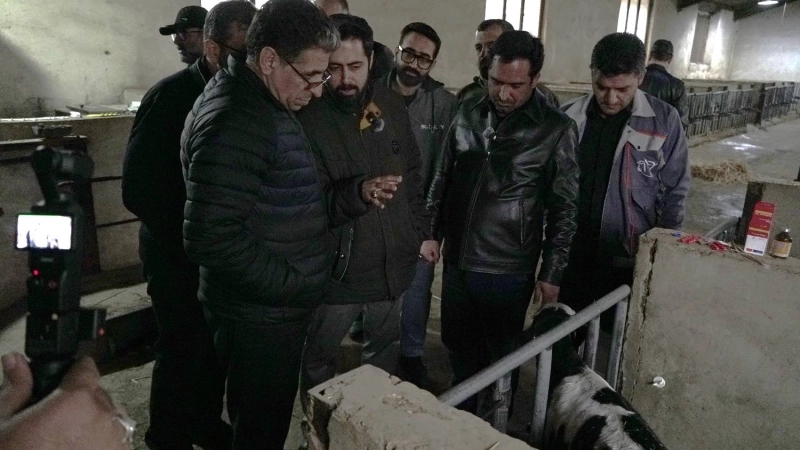 بازدید دکتر سعیدی(مدیرعامل شرکت سرمایه گذاری تامین اجتماعی) و دکتر محمدی(مدیرعامل هلدینگ تادیکو) از شرکت ملاردشیر