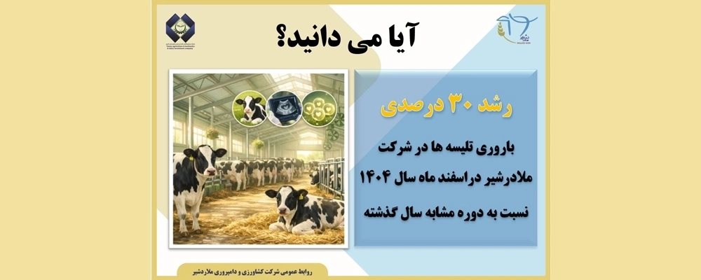 رشد 30 درصدی باروری تلیسه ها در شرکت ملادرشیر در اسفند ماه سال 1404 نسبت به دوره مشابه سال گذشته